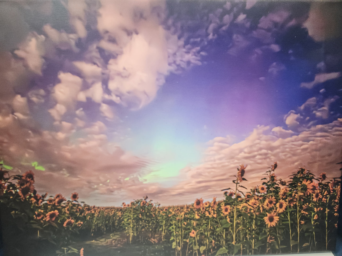Fairhaven Fine Art Photographs - Canvas Prints