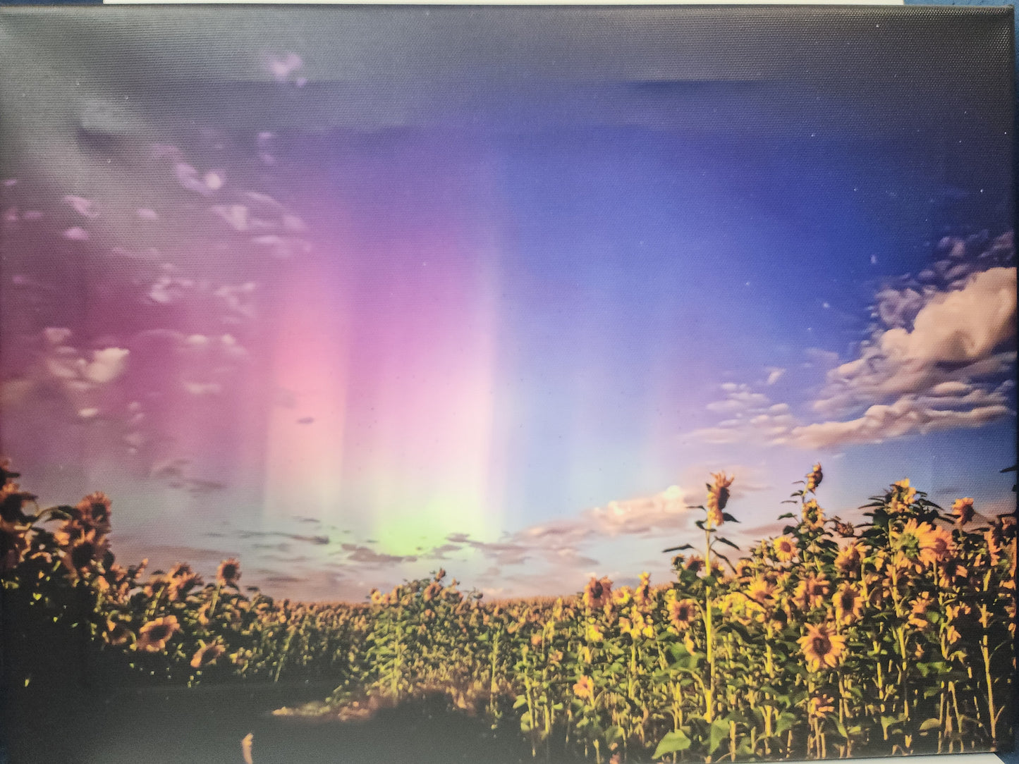 Fairhaven Fine Art Photographs - Canvas Prints