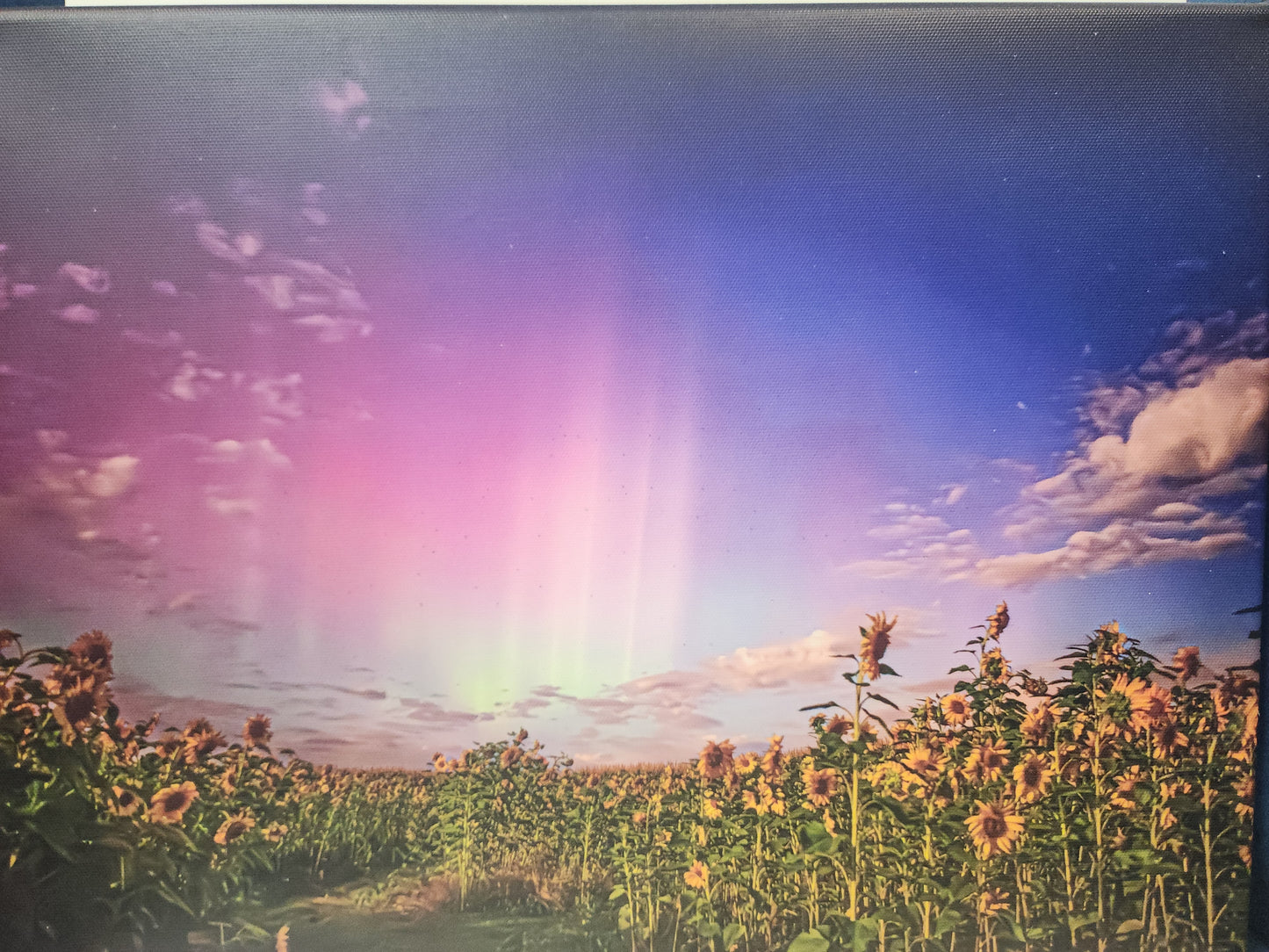 Fairhaven Fine Art Photographs - Canvas Prints