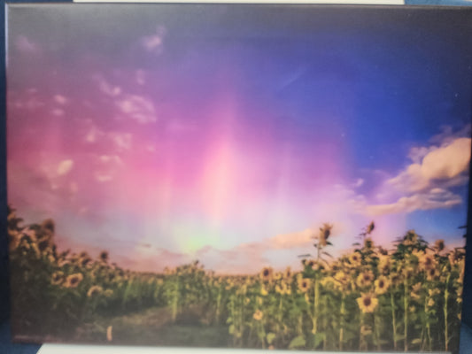 Fairhaven  Fine Art Photographs - Canvas Prints