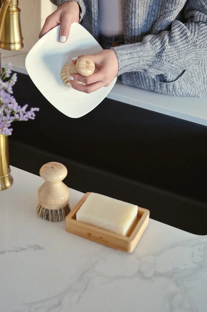 Dishwashing Soap Bars