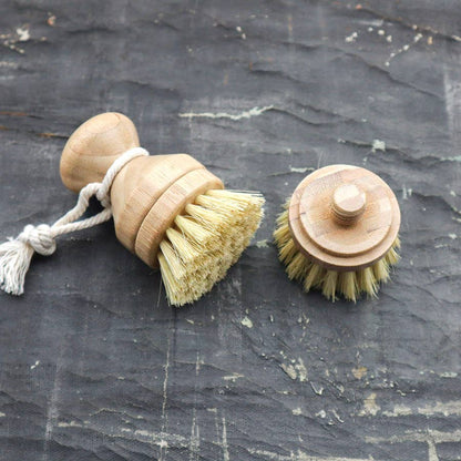 Brush Refill for Sisal Dish/Hand Brush (Brush Head Only)