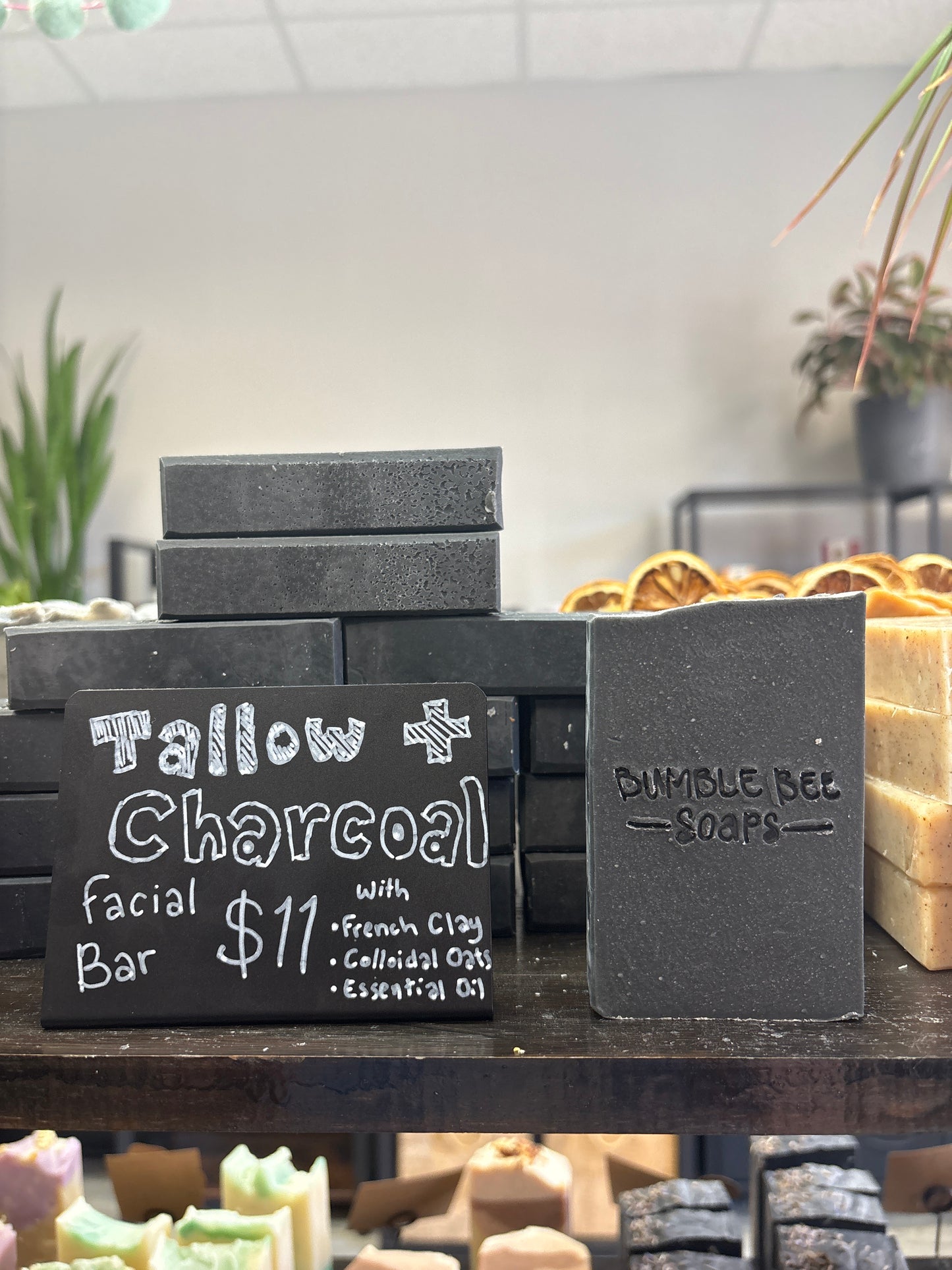 Charcoal Tallow Facial Bar Soap