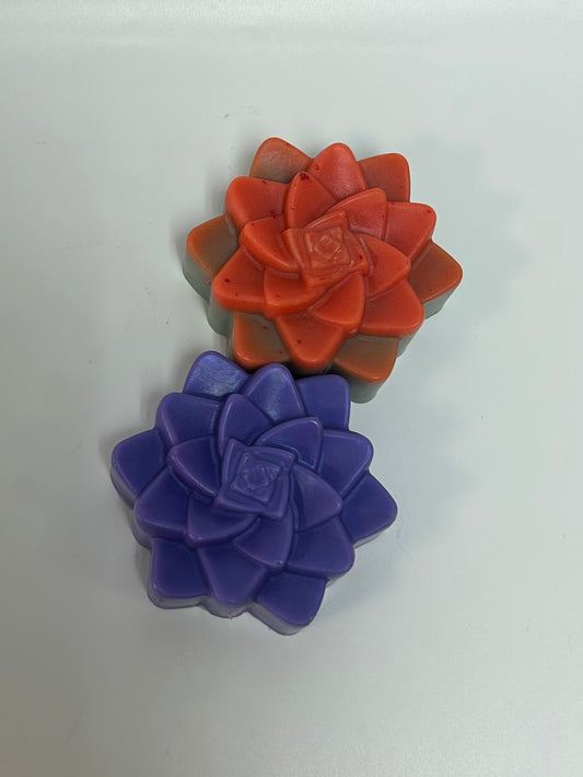 Succulent Soaps
