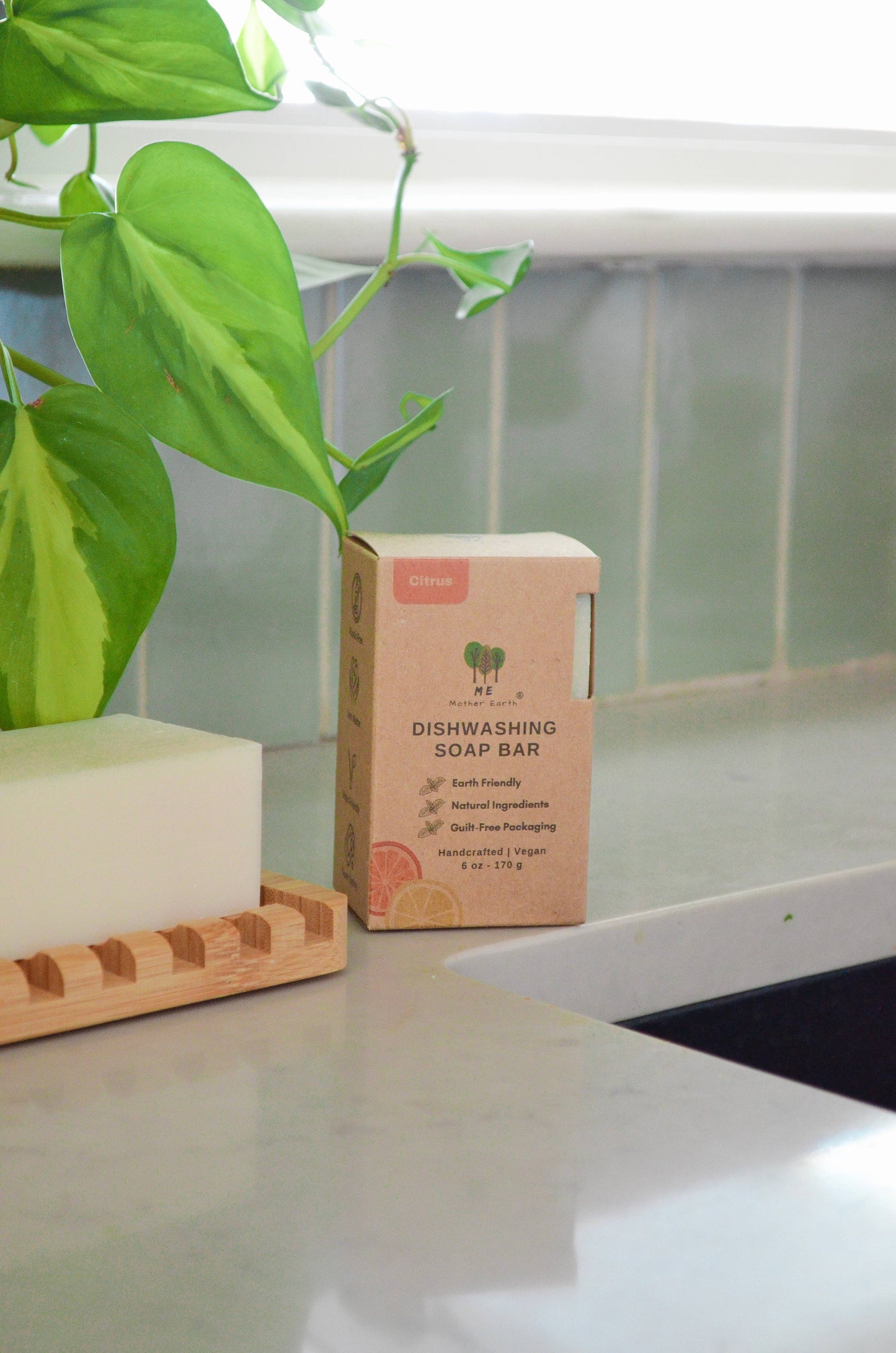 Dishwashing Soap Bars