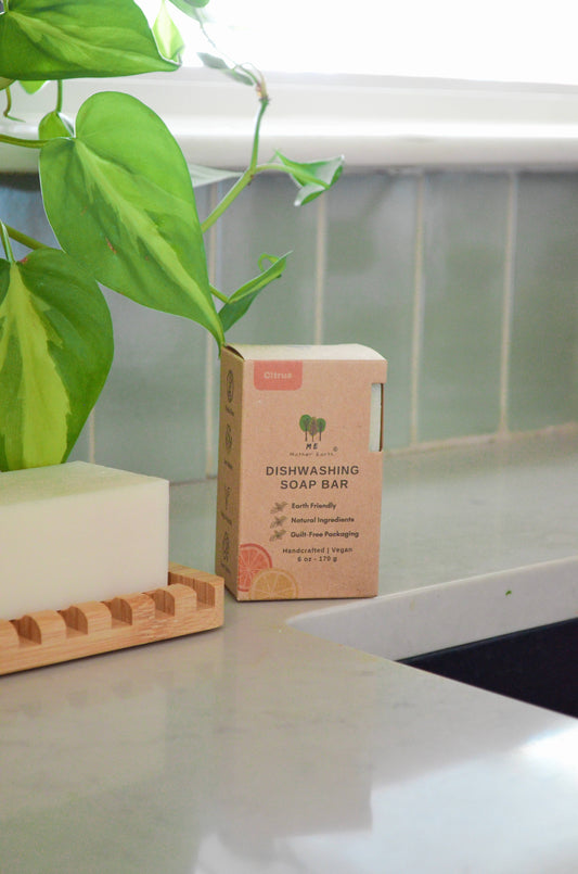Dishwashing Soap Bars