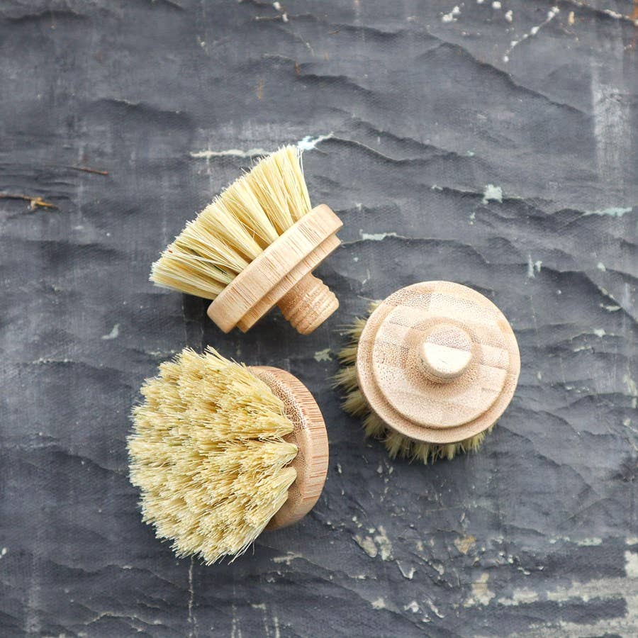 Brush Refill for Sisal Dish/Hand Brush (Brush Head Only)